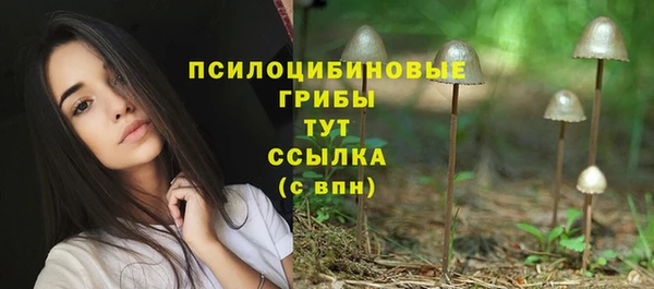 МДПВ Армянск