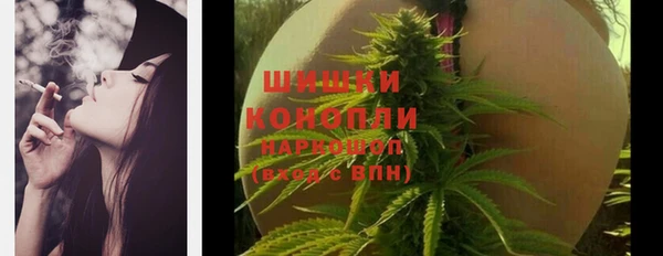 PSILOCYBIN Аркадак