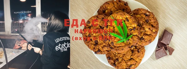 PSILOCYBIN Аркадак